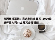 九游娱乐-欧洲杯揭幕战：意大利胜土耳其_2020欧洲杯意大利vs土耳其全程视频