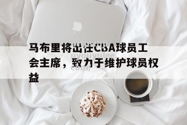 九游娱乐-马布里将出任CBA球员工会主席，致力于维护球员权益